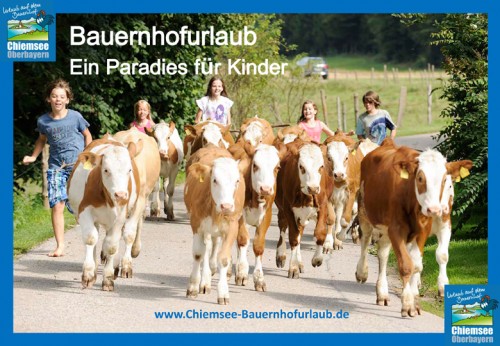 Urlaub auf dem Bauernhof Chiemsee Oberbayern Tiererlebnis