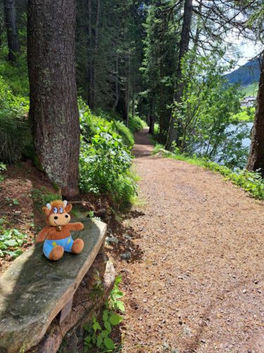 Ich weiß nicht, ob das jetzt richtig ist.