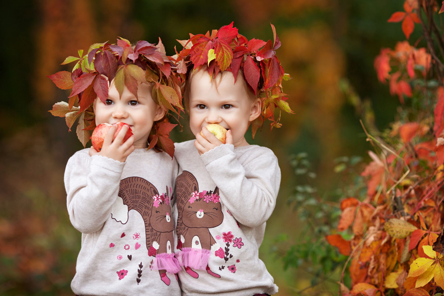 Herbst auf dem Bauernhof