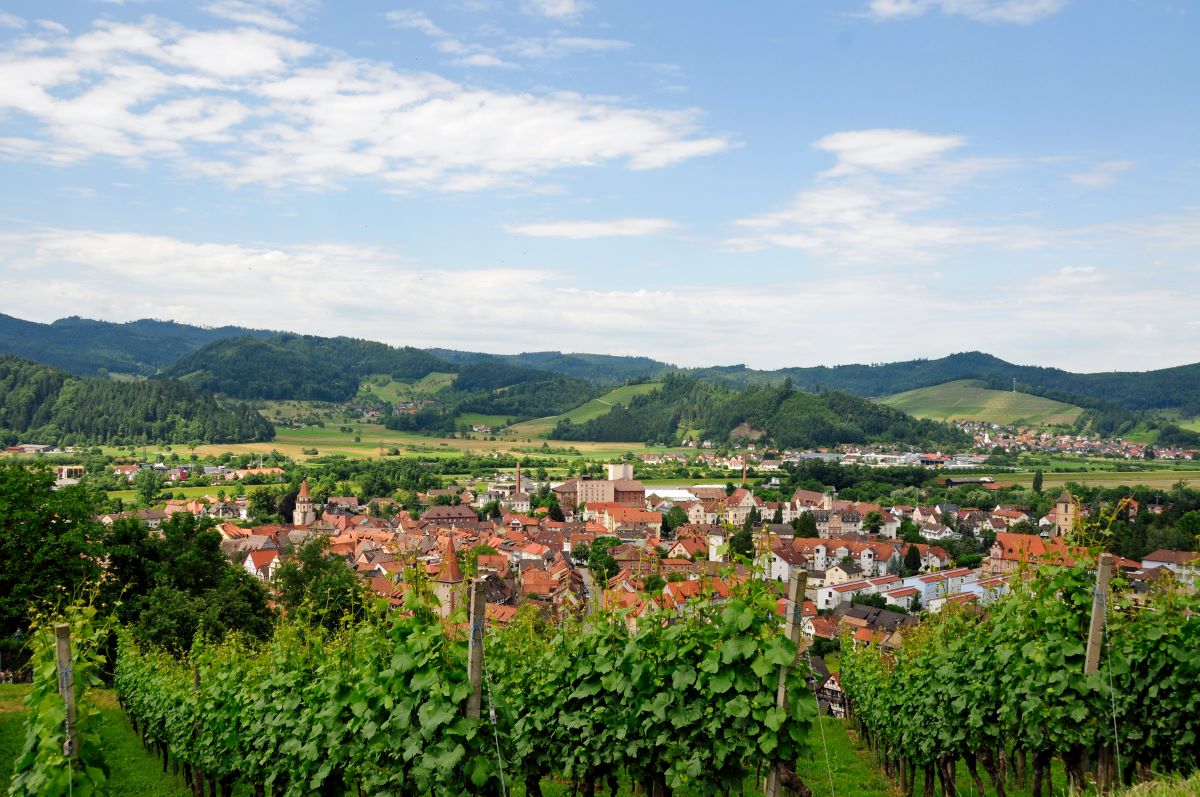 Gengenbach - Schwarzwald