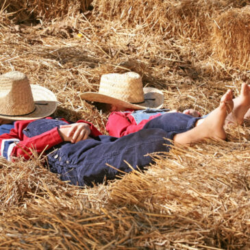 Schlafen im duftenden Heu während des Bauernhofurlaubs in Heuherbergen & Co.