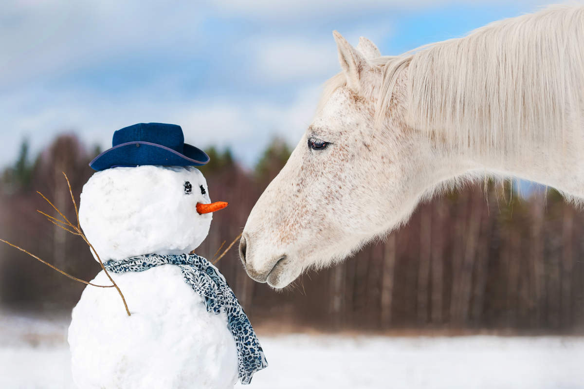 Schneemann mit Pferd - Winterferien