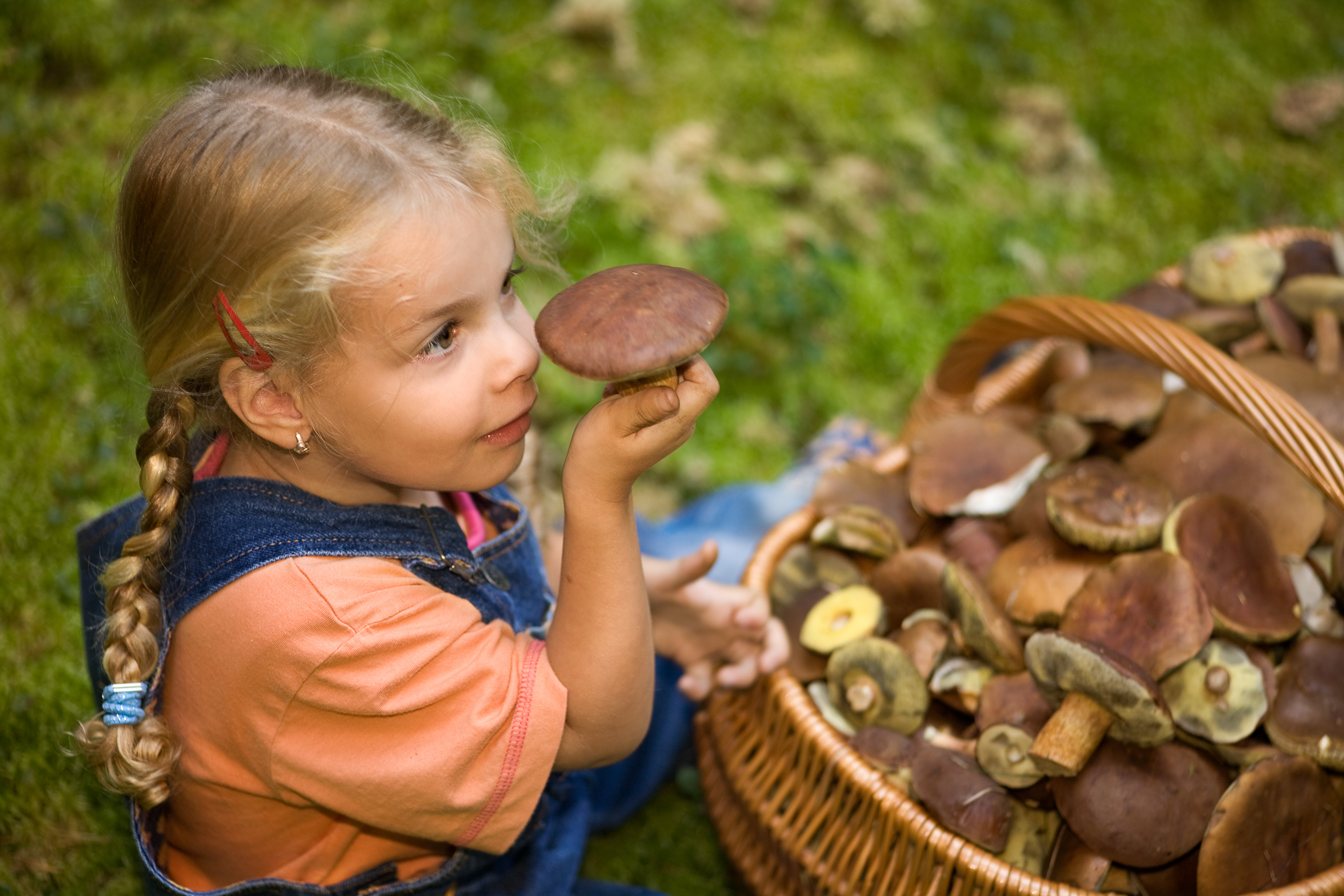 kleines Mädchen mit einem Korb voller Pilze