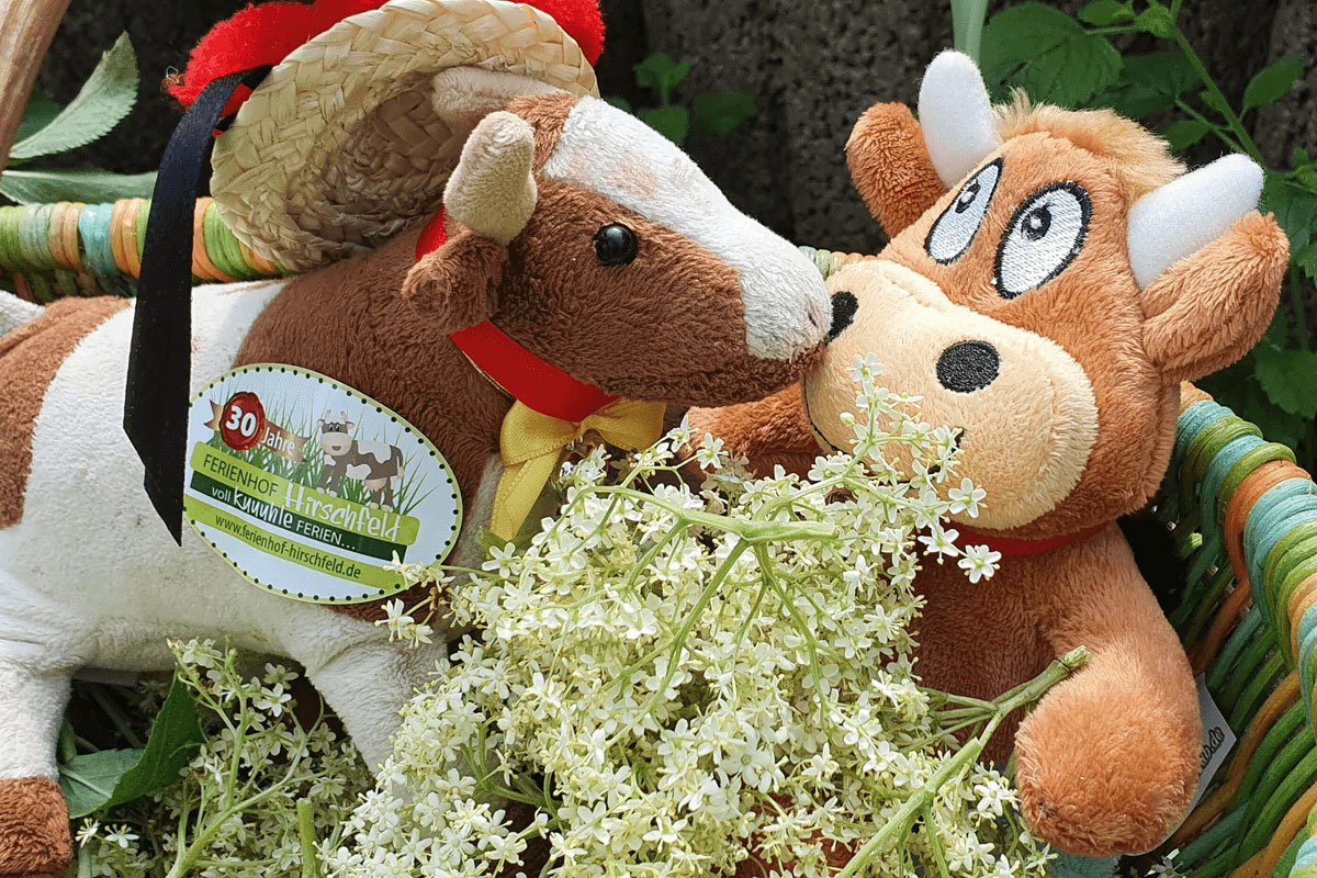 Herzliche Begrüßung Anreise-Friederike-Küsschen