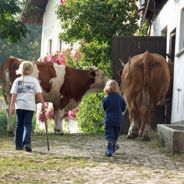 Der 4****Pfefferhof im Bayerischen Wald – ein Bilderbuchparadies für Familien!