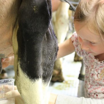 Bauer Berni zeigt Dir – Wie wird aus Gras Milch