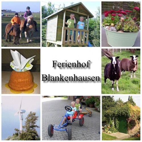 Bauernhofurlaub in Ostfriesland