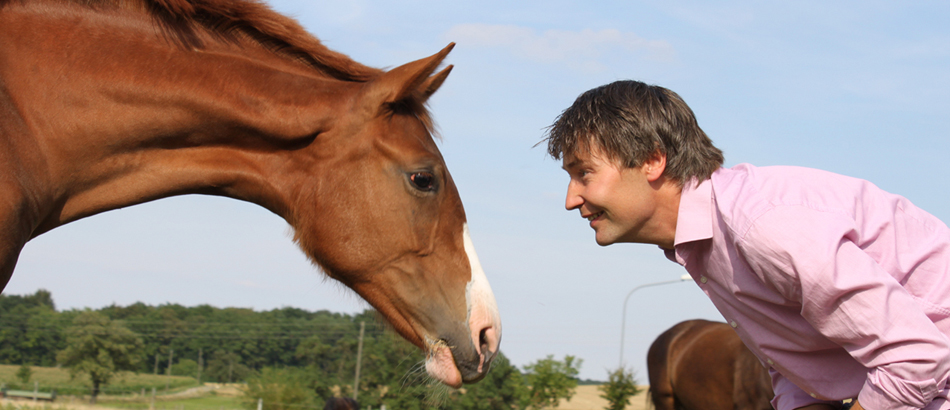 Glückliche Pferde – Glückliche Menschen