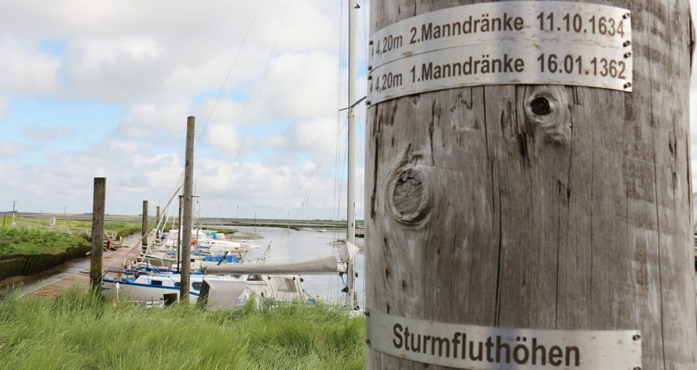 Persönlicher Tipp vom Hof Tümlauer Bucht: Besuch des malerischen Tümlauer Hafens an der Nordsee!