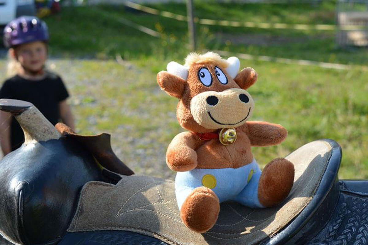 Das Glück der Erde... Ferienhof-Kilger-Friederikes-Reisetagebuch-Reiten