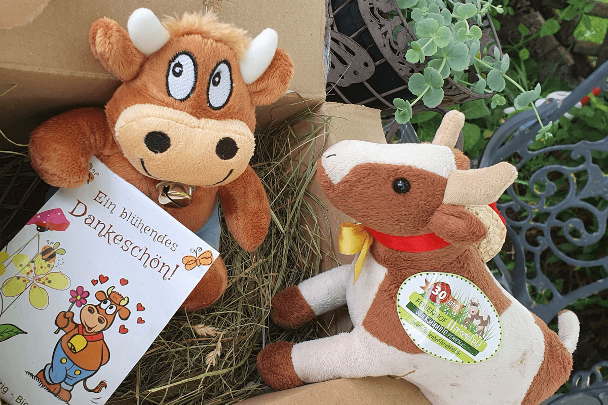 Friederikes Anreise Friederike-Ferienhof-Hirschfeld-Anreise