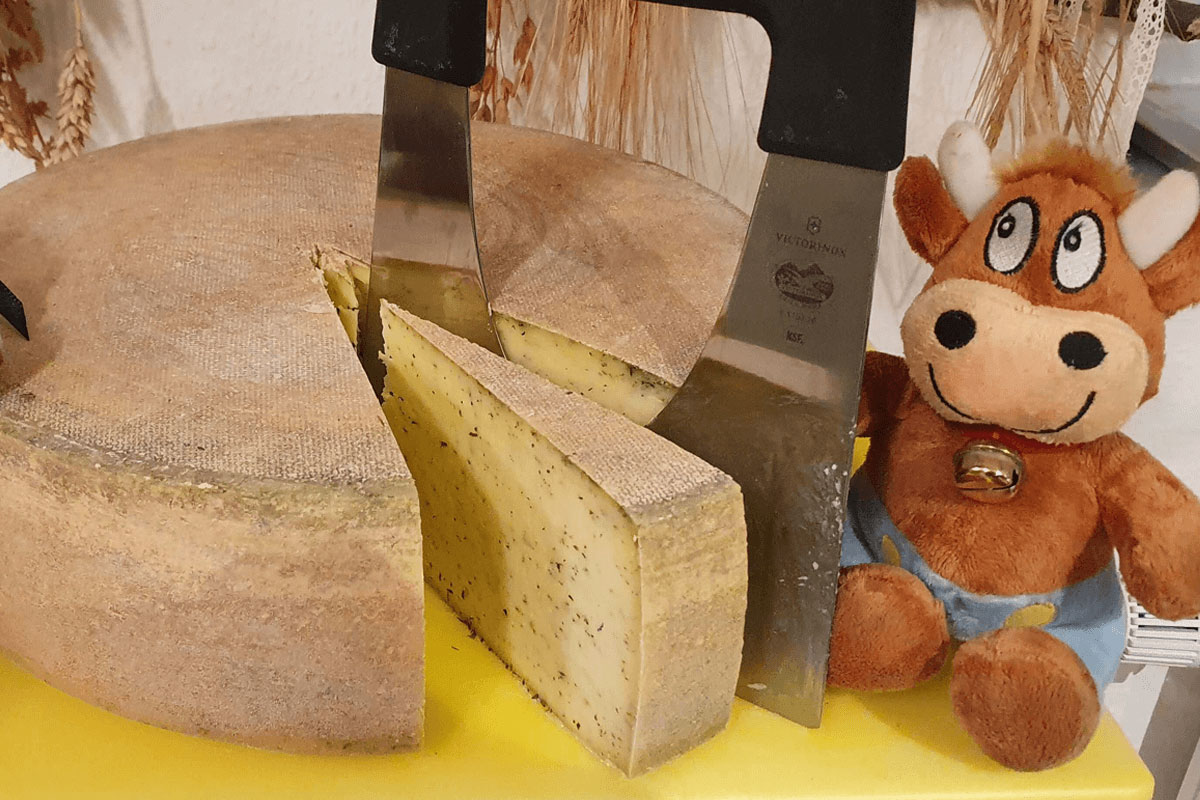 Käseverkostung Friederike-Ferienhof-Hirschfeld-Käse