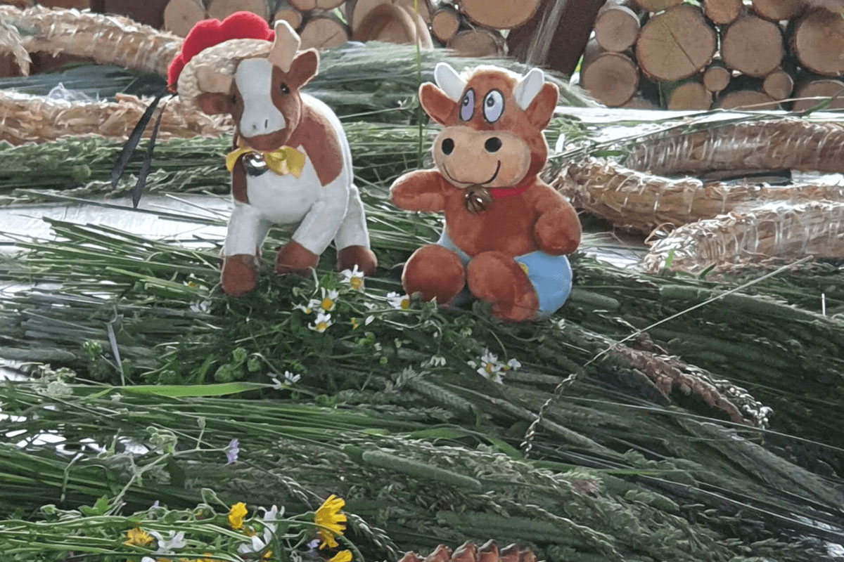 Meine Bastelaktion "Gräserkränze" Friederike-Ferienhof-Hirschfeld-Kräutersalz-herstellen