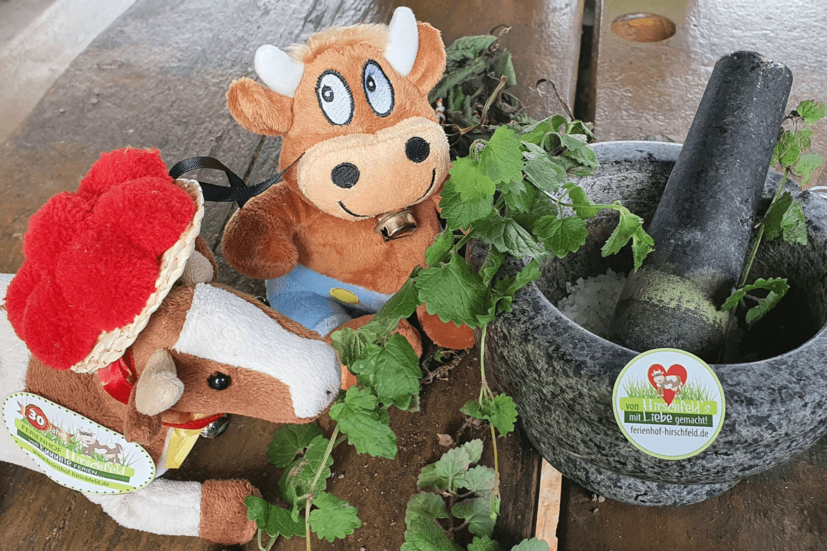 Mein erstes selbstgemachtes Kräutersalz Friederike-Ferienhof-Hirschfeld-Kräutersalz