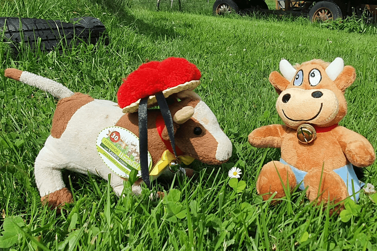 Auf der Liegewiese Auf der Liegewiese