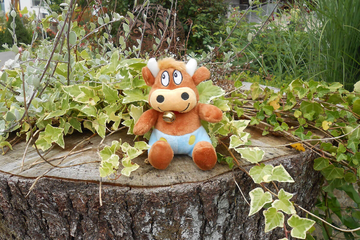 Hofgelände Friederike-Reisetagebuch---Familiennest-Pauli-Hofgelände