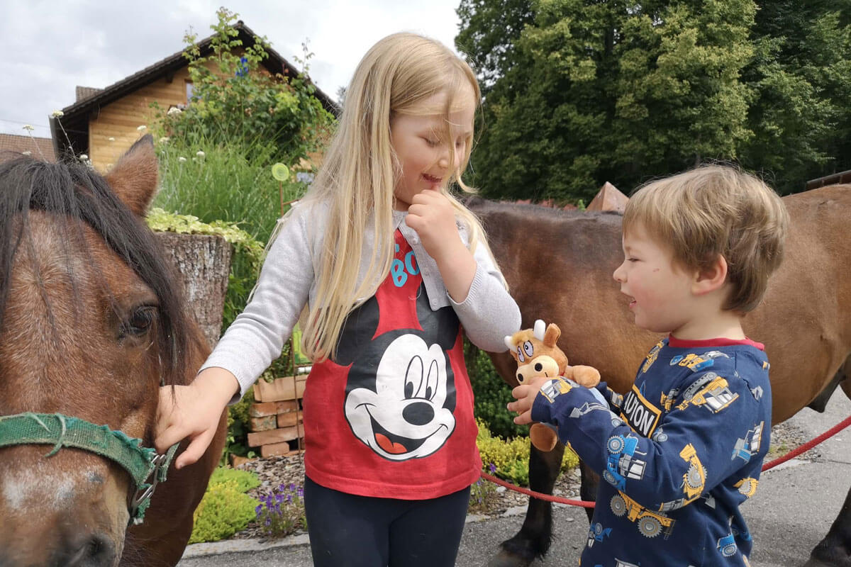 Friederike-Reisetagebuch---Familiennest-Pauli-Ponys2