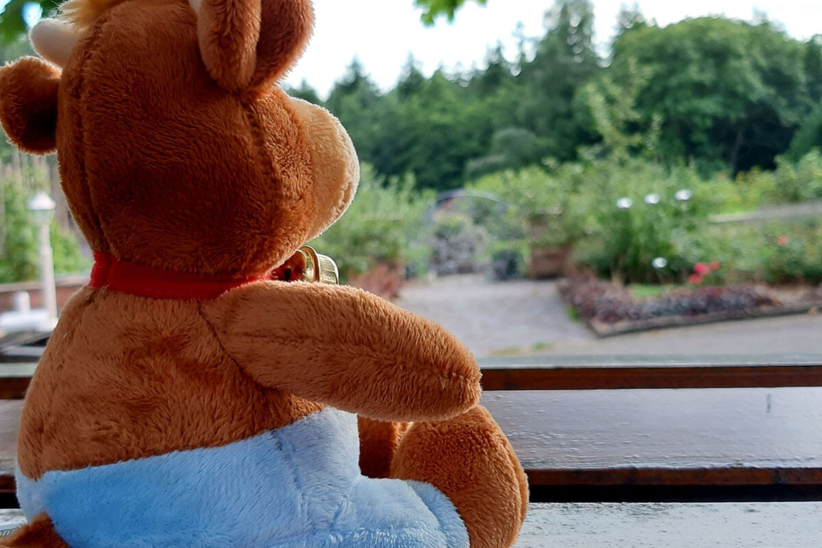 Friederike-Reisetagebuch-Schlosshof-Anreise