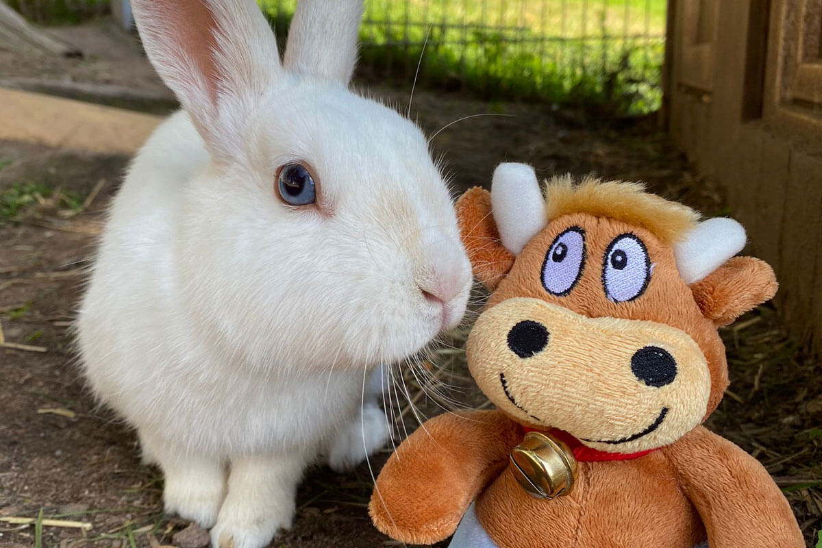 Schlosshof - Haeschen