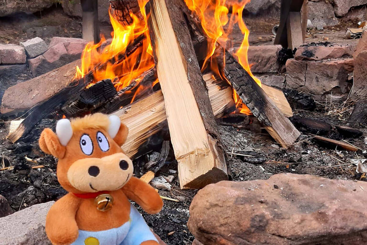 Schlosshof-Lagerfeuer