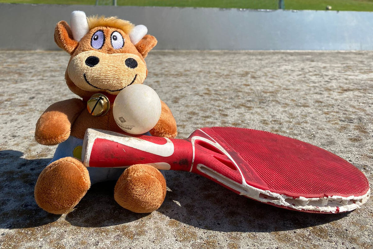 Schlosshof-Tischtennis