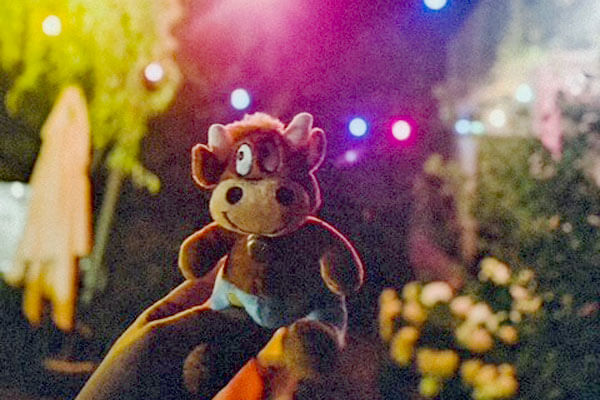 Friederikes-Reisetagebuch---Erlebnisbauernhof-Stadelmann-Sommerabend