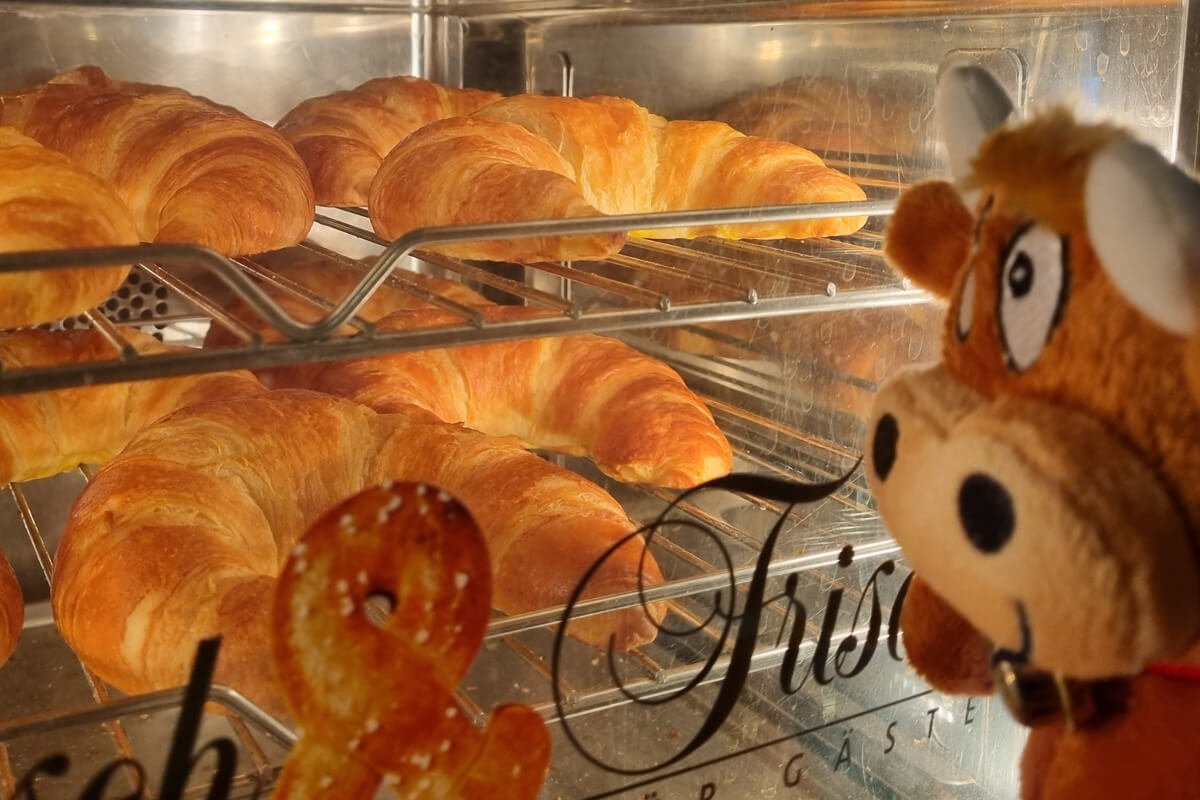 Friederikes-Reisetagebuch-Ferienhof-Birnbaum-Crossaints