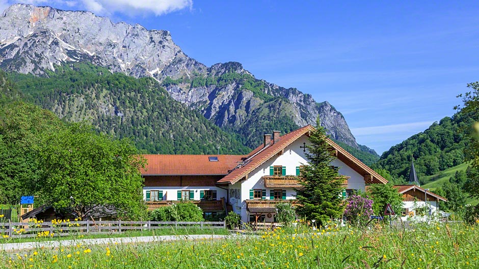 Gästehaus Pfeffererlehen - Hier entsteht die Bärlauchsuppe Gästehaus Pfeffererlehen - Hier entsteht die Bärlauchsuppe