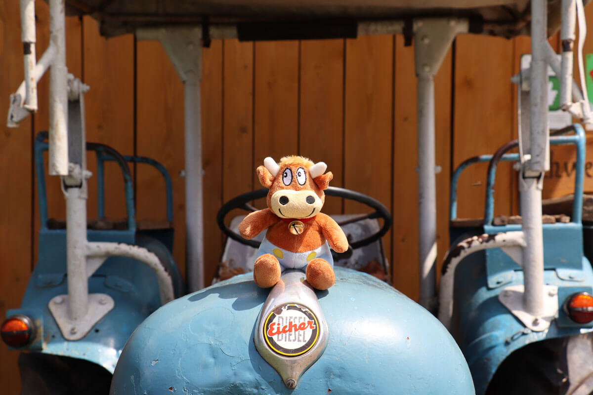 Hasenkammer-Friederikes-Reisetagebuch-Traktor