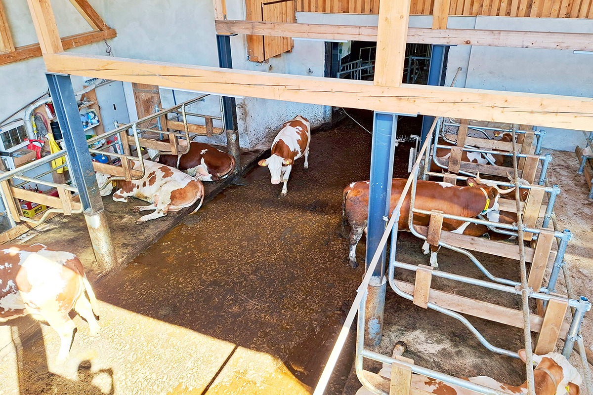 Im Kuhstall - Ferienbauernhof Kilger