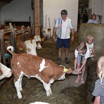 Echter Bauernhofurlaub bei Familie Kilger in Kaikenried