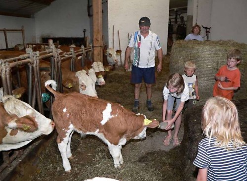 Familie Kilger in Kaikenried mit Kindern im Stall