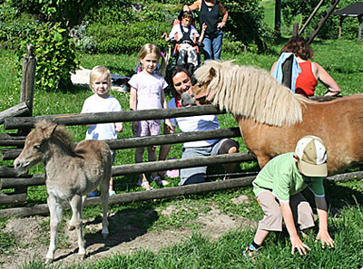 Kinder-Erlebnisurlaub auf dem Ferienbauernhof Stratmann im Hochsauerland