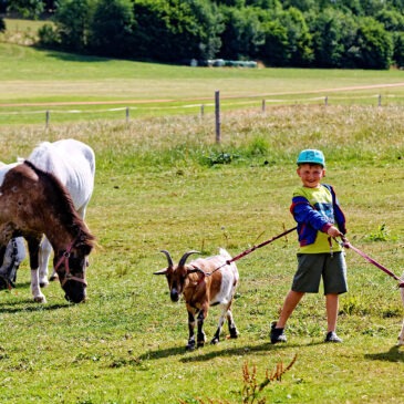 Echter Bauernhofurlaub bei Familie Kilger in Kaikenried