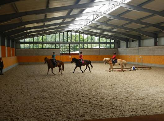 Herbsturlaub im Osnabrücker Land auf dem Reiterhof Eilfort