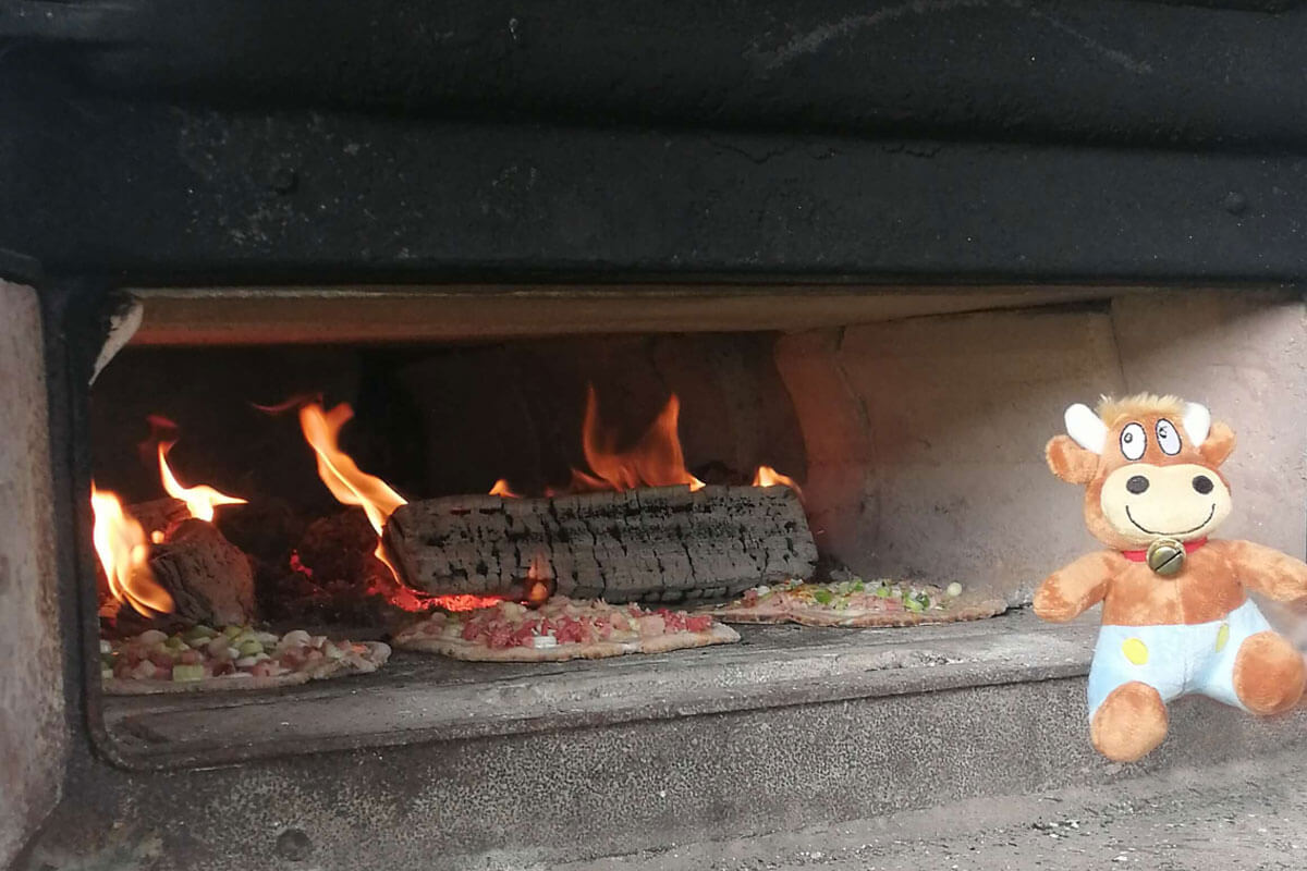 Weidererhof-Friederikes-Reisetagebuch--Pizzaofen