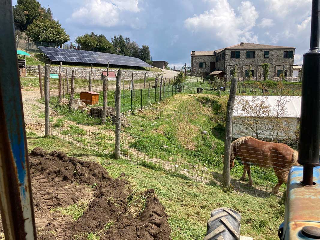 Blick vom Traktor auf die Bio-Landwirtschaft des Agriturismo degli Olivi mit Solaranlage, eingezäunter Weide und Pferd, im Hintergrund das Steinhaus des Hofs unter leicht bewölktem Himmel.