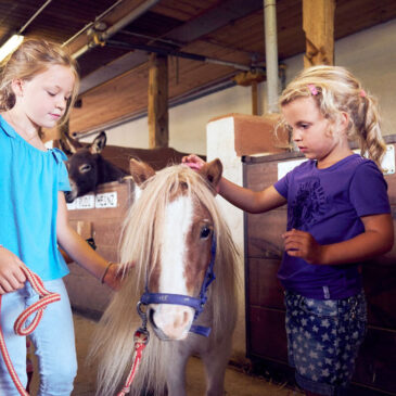 Der Bambini-Ponyhof – Ponyferien und Familienglück