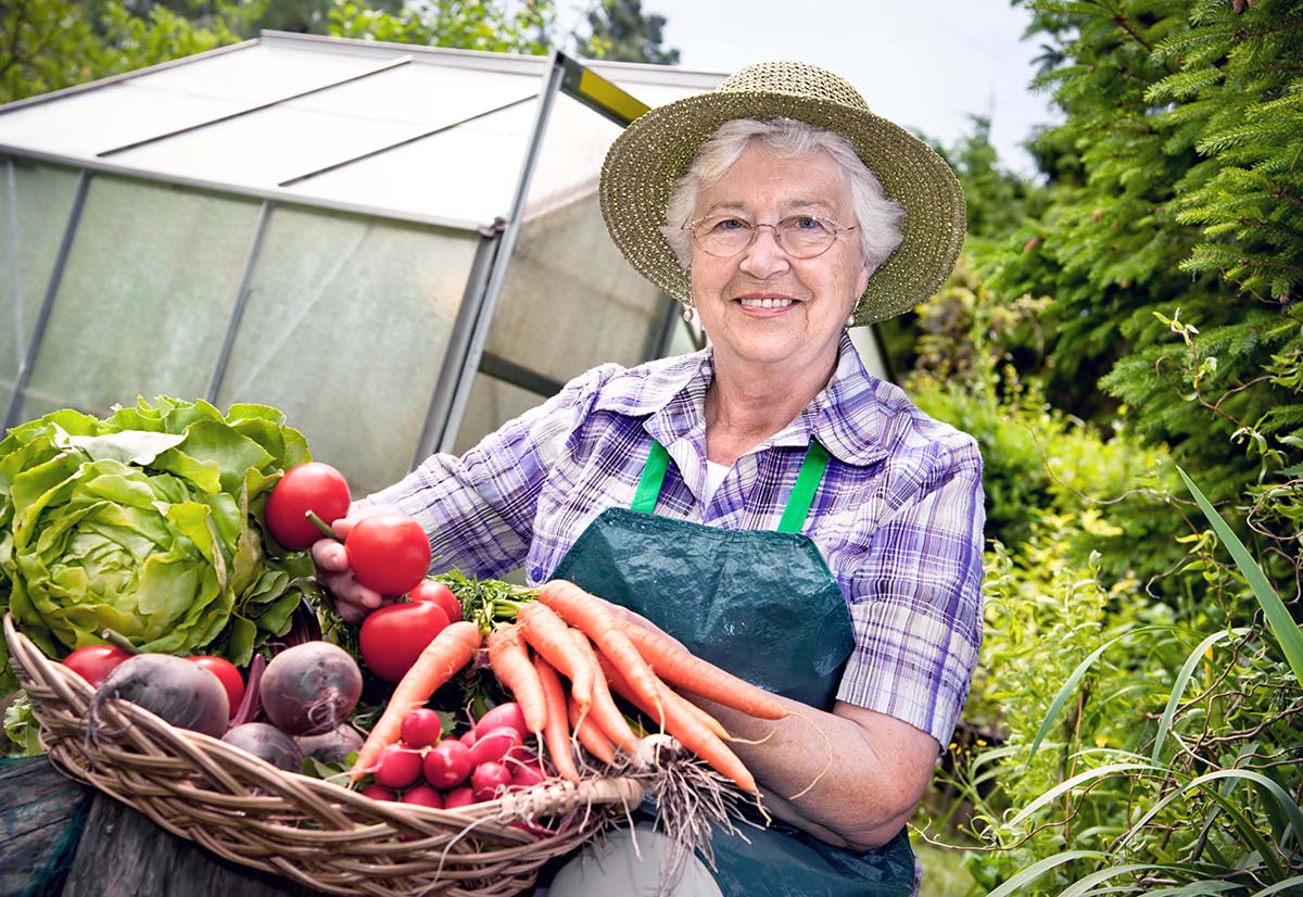 Ältere Frau mit Strohhut hält im Garten vor einem Gewächshaus einen Korb mit Salat, Tomaten, Möhren, Radieschen und Roter Bete.