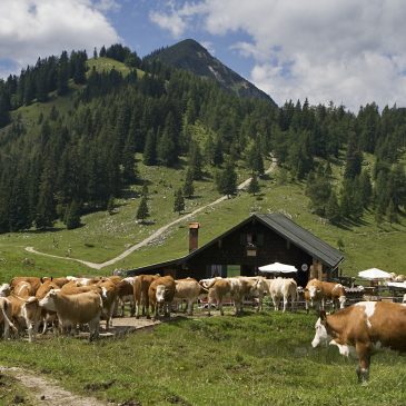 Natur und Erholung pur erleben im Bauernhofurlaub in Süddeutschland