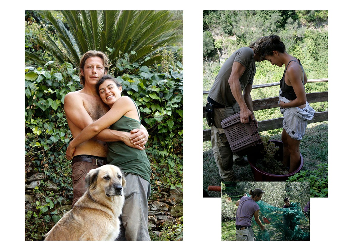 Costanza und Leonardo umarmen sich neben einem Hund, beim Traubenstampfen und bei der Olivenernte, umgeben von grüner Landschaft.