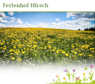 Ferienhof Hirsch