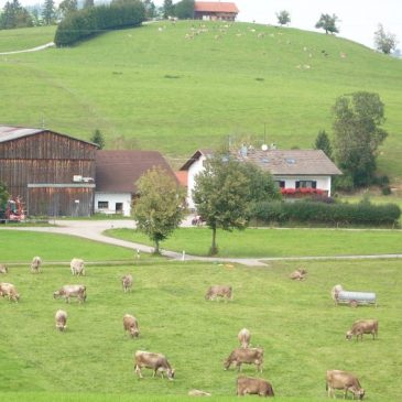 Erlebnisreicher Rad- und Wanderurlaub im Ostallgäu – der Ferienhof Klöck in Roßhaupten