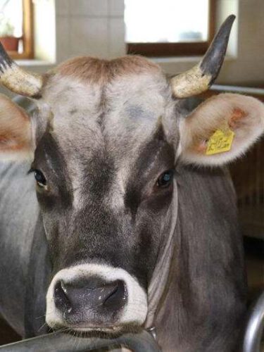 Beeindruckend und so viel größer.