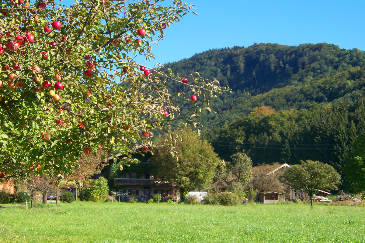 Weitläufiger Garten mit Obstbäumen Weitläufiger Garten mit Obstbäumen