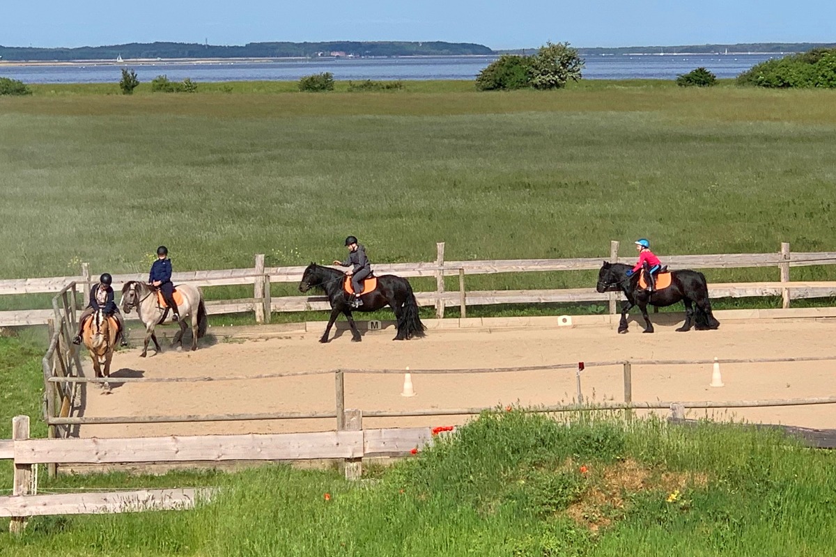 Reitplatz mit Blick auf die Ostsee