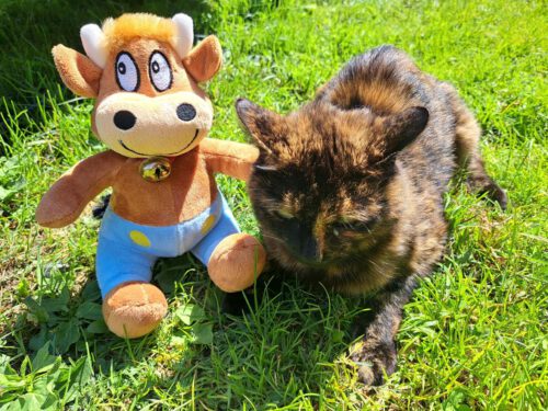 Mit der Katze verstehe ich mich auch