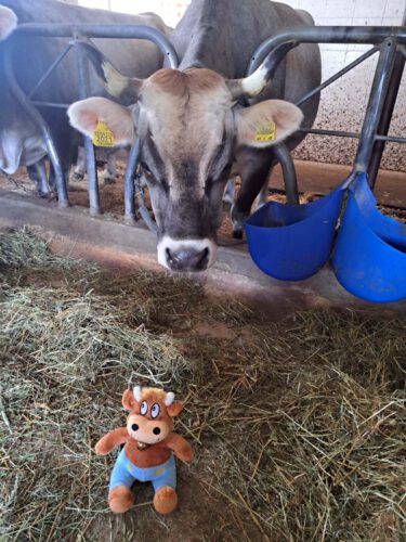 Meine Artgenossen sind noch skeptisch.