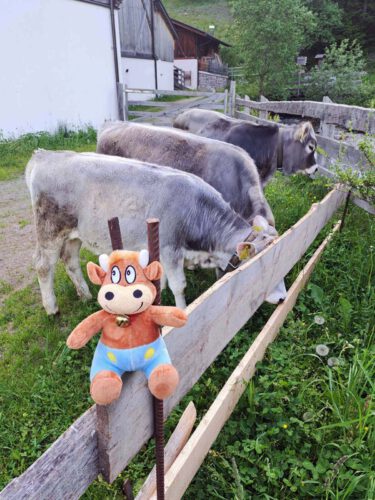 Draußen ist es am schönsten.