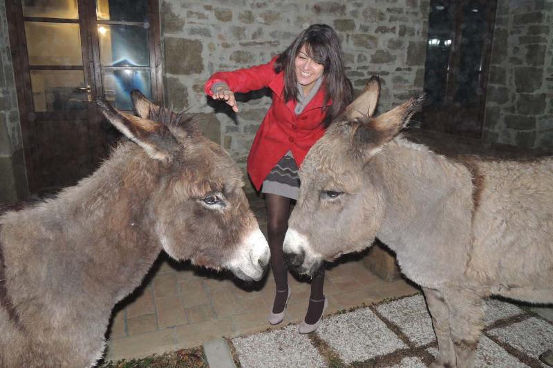 Eine Frau im roten Mantel lächelt und streichelt zwei zutrauliche Esel auf dem Hof von Agriturismo Val di Boccio in Umbrien. Die Szene spielt abends vor einem Natursteinhaus und zeigt die besondere Nähe zwischen Mensch und Tier.